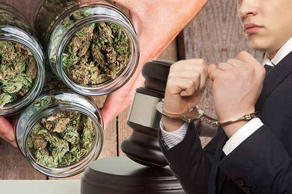 Marijuana Lawyer Springfield MO