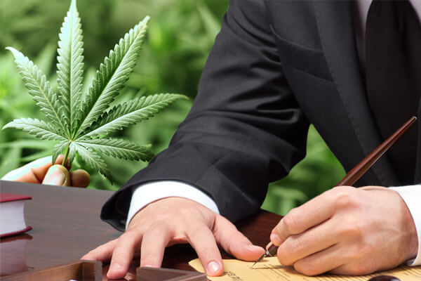 Marijuana Laws, Austin Marijuana Laws, Marijuana Lawyer Austin, Marijuana Attorney Austin