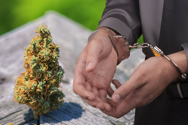 Marijuana Possession, Marijuana Possession Attorney, Marijuana Possession Lawyer, Marijuana Possession Charges